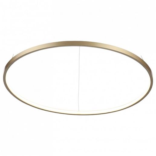  Подвесной светильник ST-Luce Erto SL904.203.01