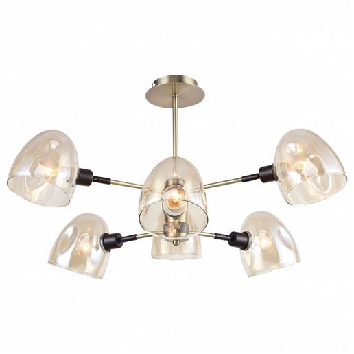  Люстра на штанге Rivoli Camila Б0044512