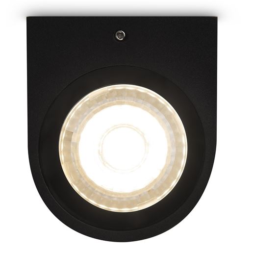 Настенный светильник (бра) Outdoor O044WL-02B