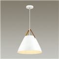 миниатюра  Подвесной светильник Odeon Light Berni 4147/1 №3