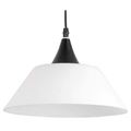 миниатюра  Подвесной светильник TopLight Mabel TL4430D-01BL №1