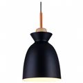 миниатюра  Подвесной светильник TopLight Marylou TL1202H-01BK №1