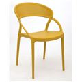 миниатюра Стул PP-737 (Yellow-11) №1