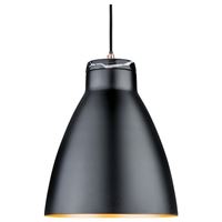  Подвесной светильник Paulmann Roald 79609