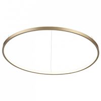  Подвесной светильник ST-Luce Erto SL904.203.01