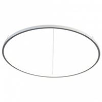  Подвесной светильник ST-Luce Erto SL904.503.01