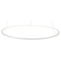  Подвесной светильник ST-Luce Erto SL904.513.01