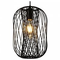  Подвесной светильник TopLight Debra TL1189H-01BK