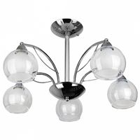  Люстра на штанге TopLight Alberta TL7160X-05CH