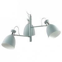  Подвесная люстра Lumion Kizzy 3735/3