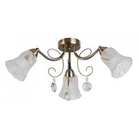  Потолочная люстра TopLight Charla TL7100X-03AB