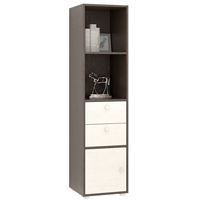 Стеллаж Прайм-41-2 венге / дуб молочный